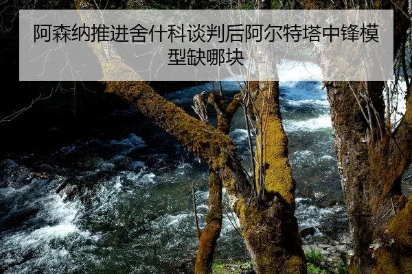 a-sen-na-tui-jin-she-shen-ke-tan-pan-hou-a-er-te-ta-zhong-feng-mo-xing-que-na-kuai-1-103.jpg